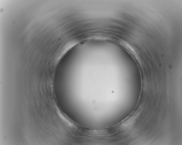 X0000089431433200707061332