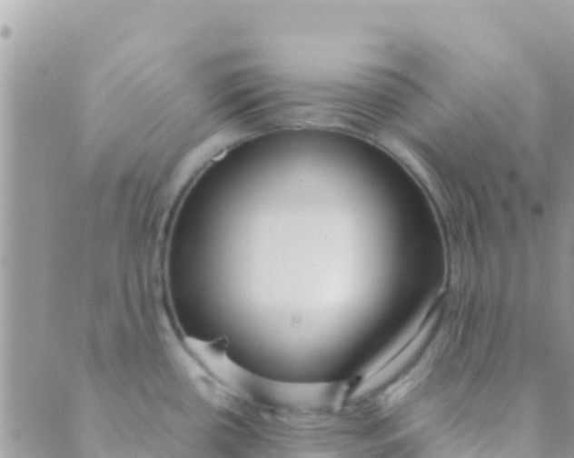 X0000089431434200707061332