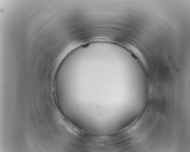 X0000089431435200707061332