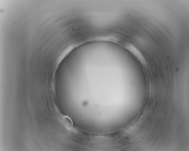 X0000089431436200707061332