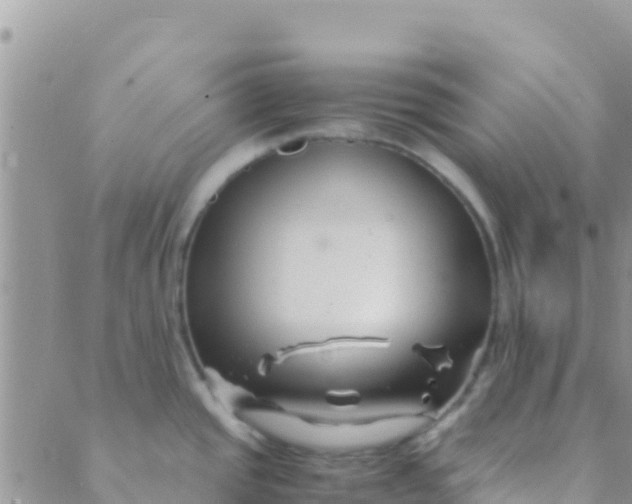 X0000089431437200707061332