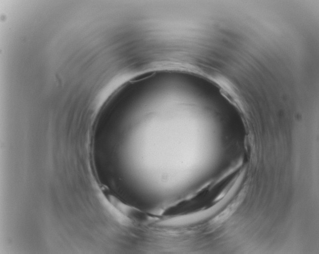 X0000089431438200707061332