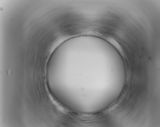 X0000089431439200707061333