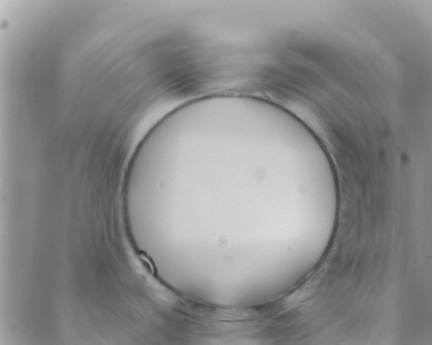 X0000089431440200707061333