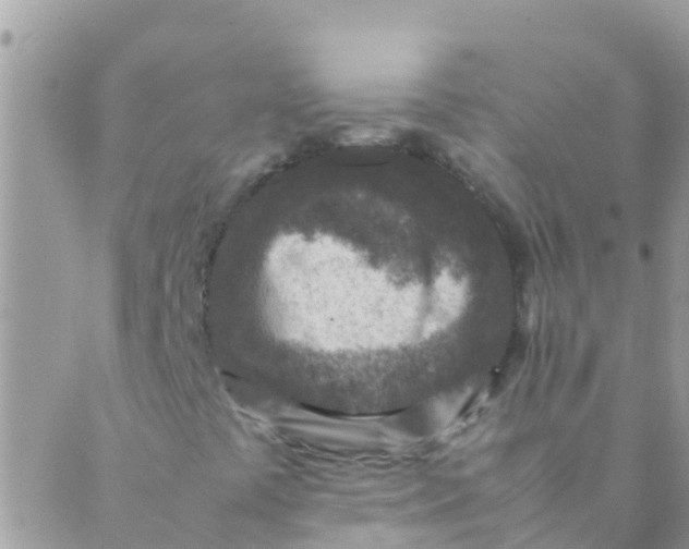 X0000089431441200707061332