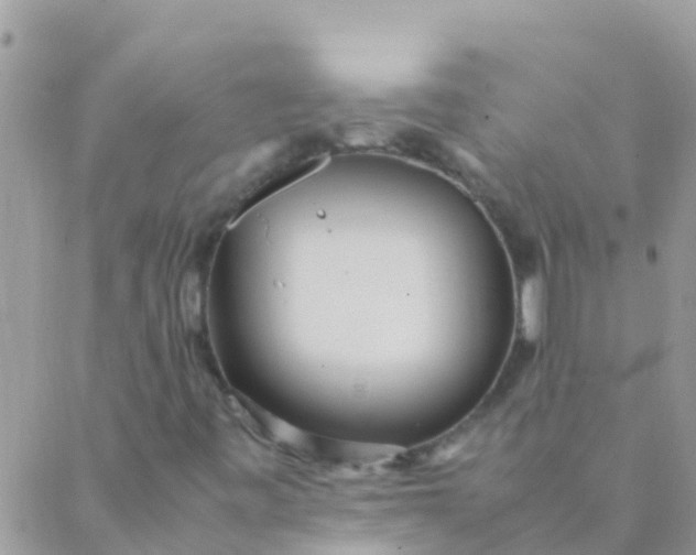 X0000089431443200707061332