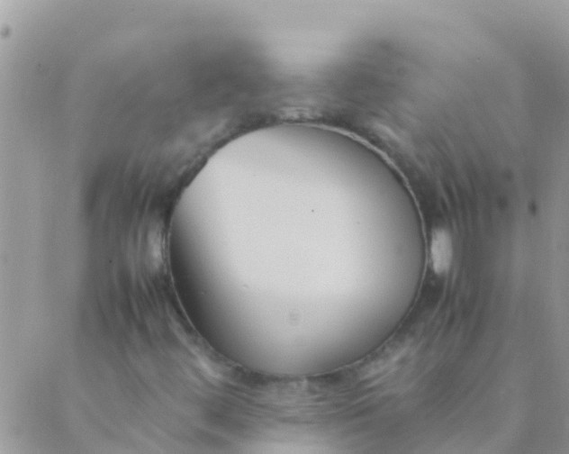 X0000089431444200707061332