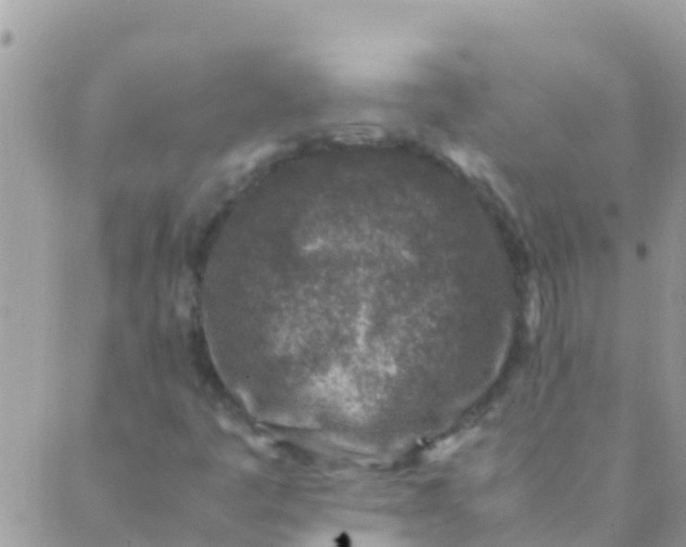 X0000089431445200707061332