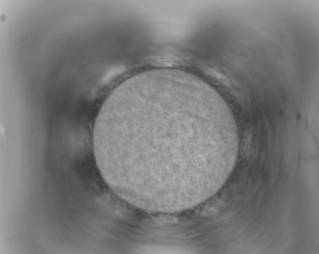 X0000089431446200707061332