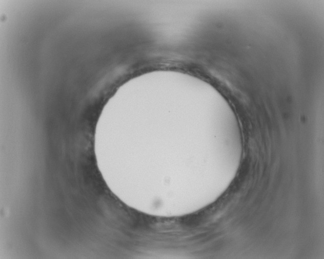 X0000089431447200707061332