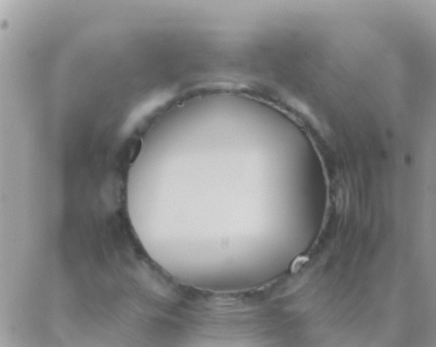 X0000089431448200707061332