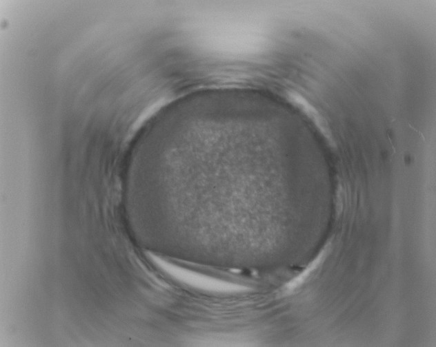 X0000089431449200707061332