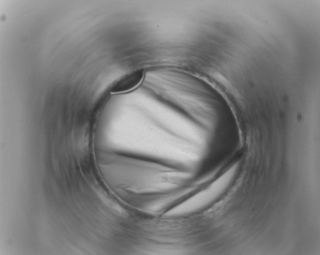 X0000089431450200707061332