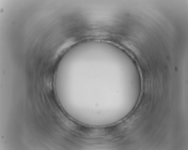 X0000089431451200707061332