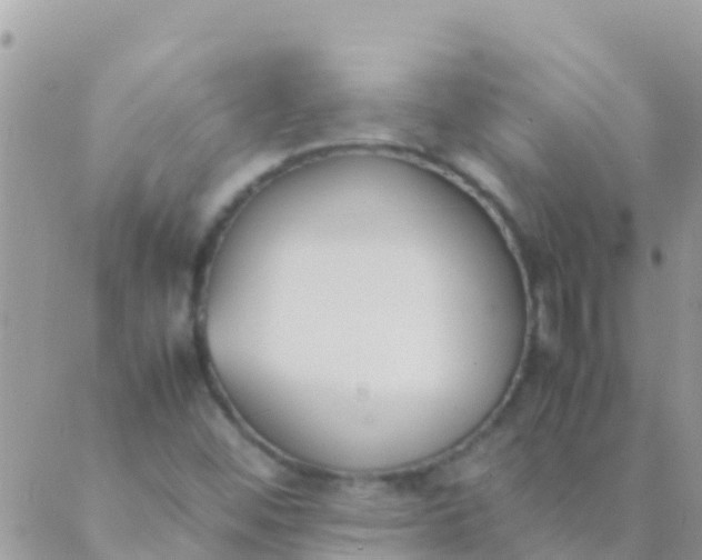 X0000089431452200707061332