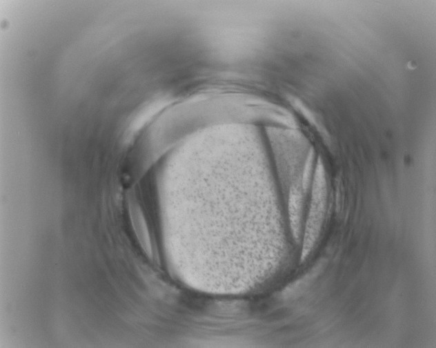 X0000089431453200707061332