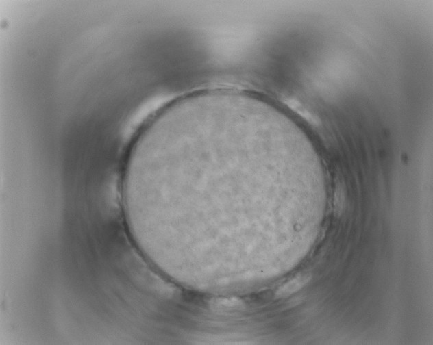 X0000089431454200707061332