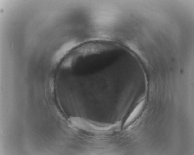 X0000089431455200707061332