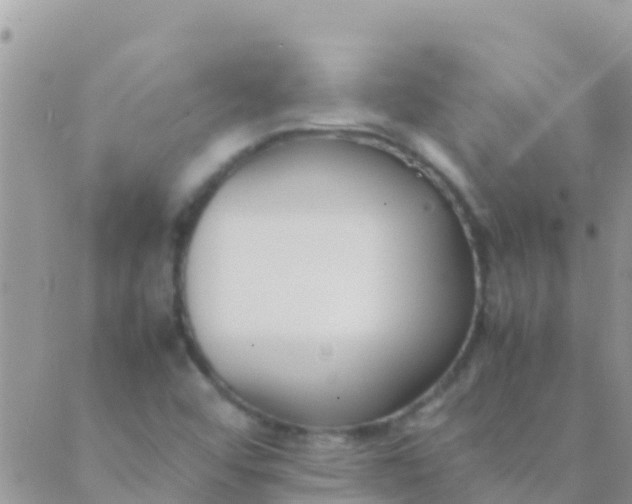 X0000089431456200707061332