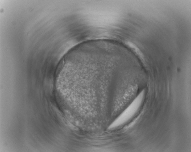 X0000089431457200707061331