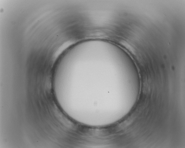 X0000089431458200707061331