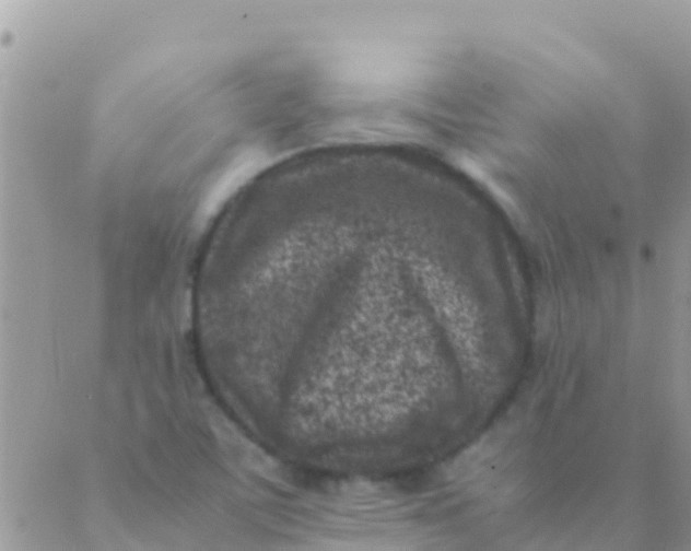 X0000089431459200707061331