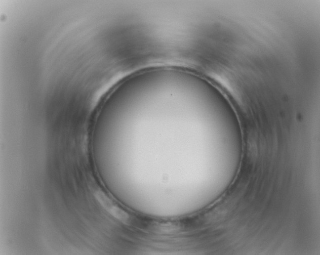 X0000089431460200707061331