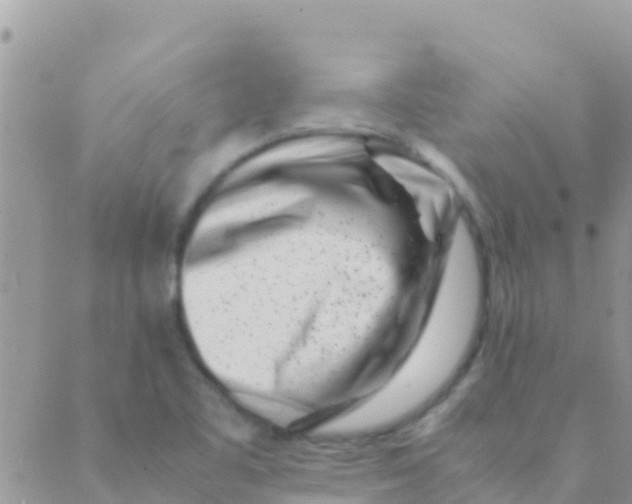 X0000089431461200707061331