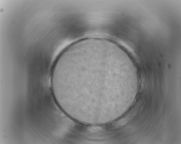 X0000089431462200707061331