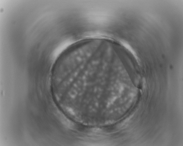 X0000089431463200707061331