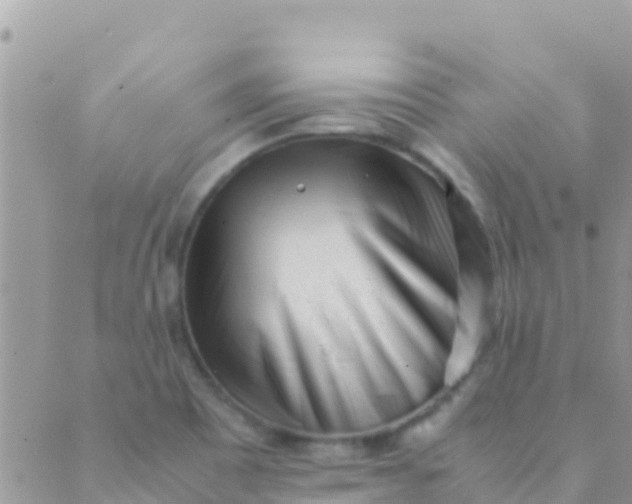 X0000089431465200707061331