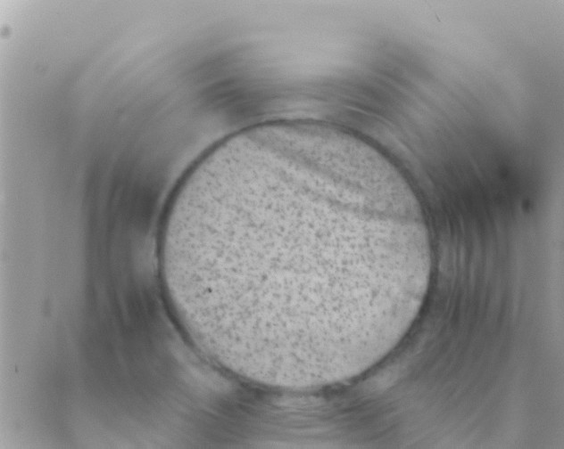 X0000089431466200707061331