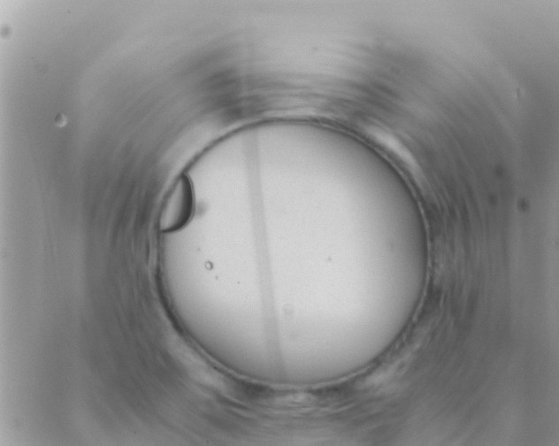 X0000089431467200707061331