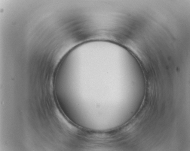 X0000089431468200707061331