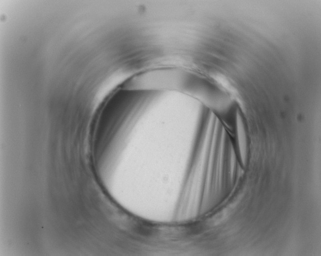 X0000089431469200707061331