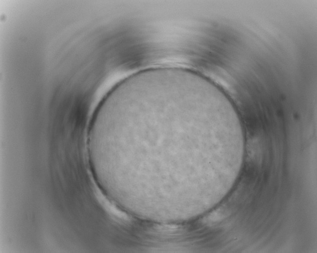 X0000089431470200707061331