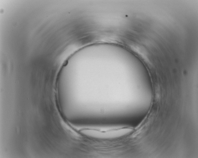 X0000089431471200707061331