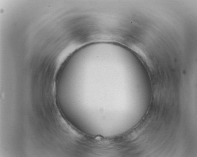 X0000089431472200707061331