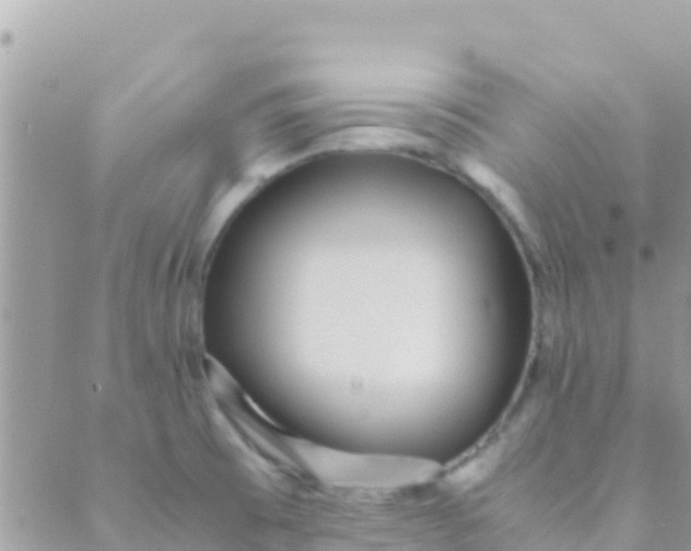 X0000089431473200707061331