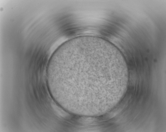 X0000089431474200707061331