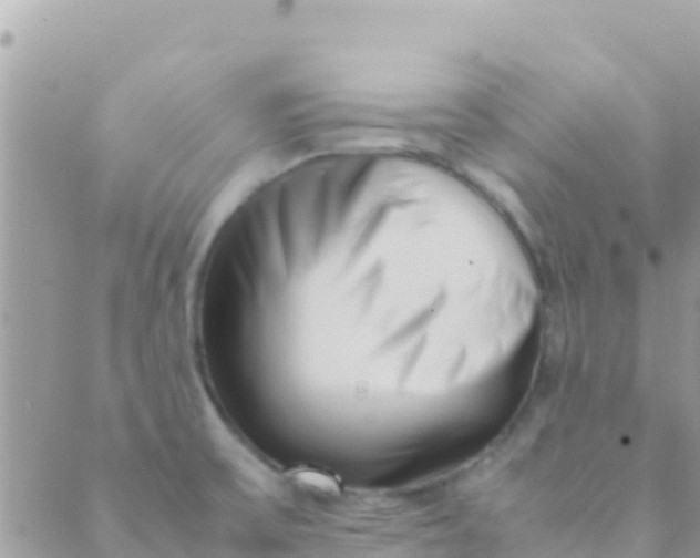 X0000089431475200707061331