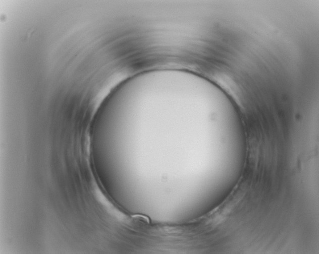 X0000089431476200707061331