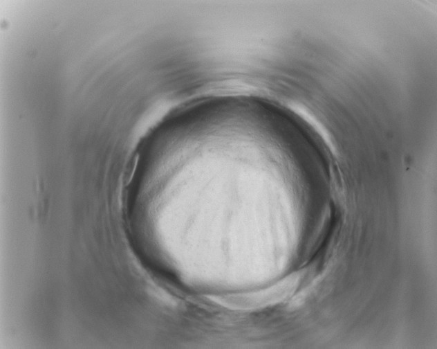 X0000089431477200707061331