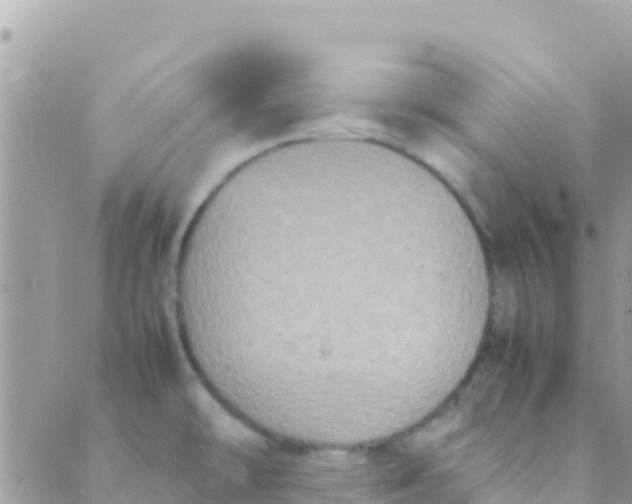 X0000089431478200707061331