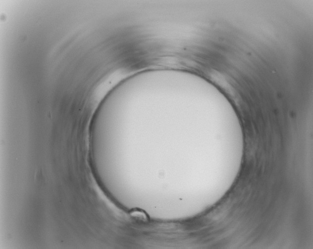 X0000089431479200707061331