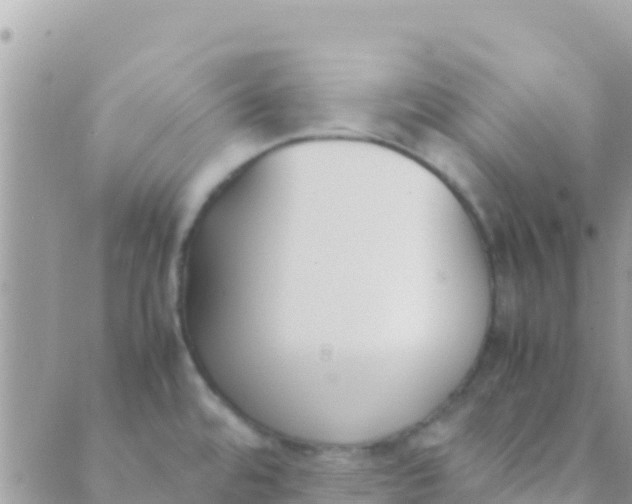 X0000089431480200707061331