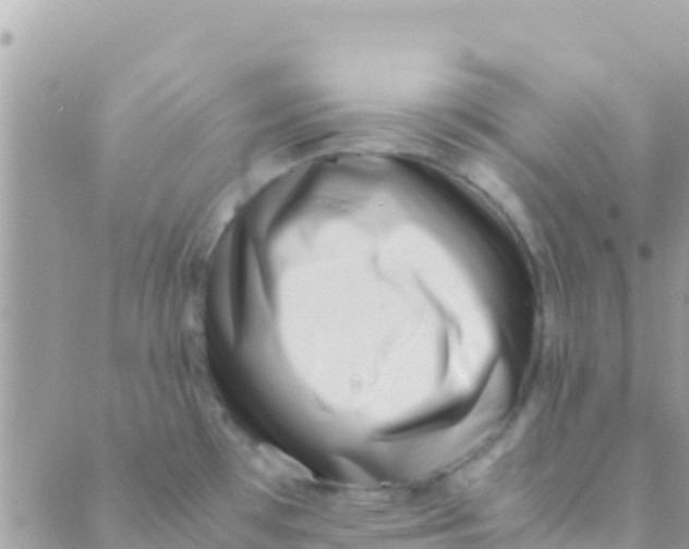 X0000089431481200707061331