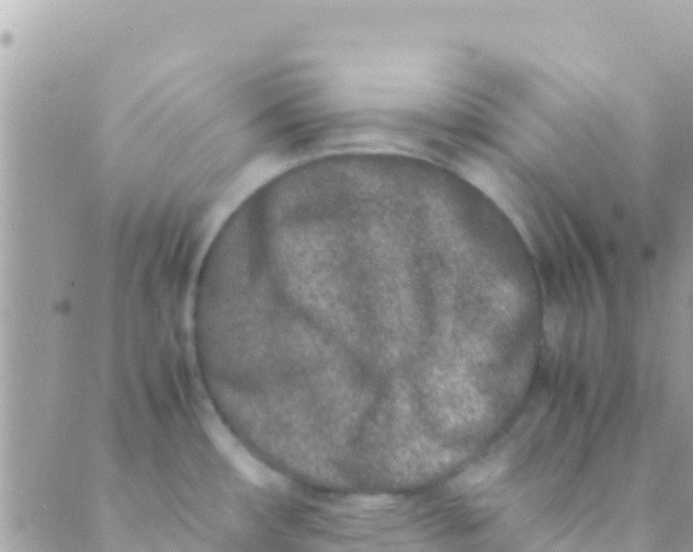 X0000089431482200707061331