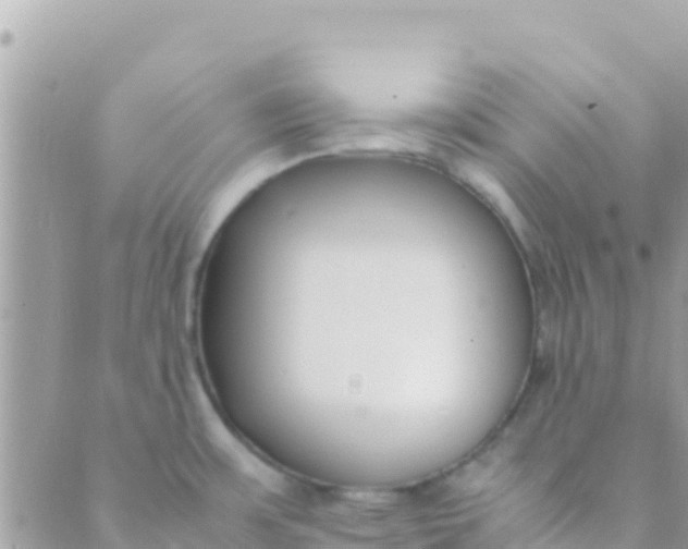 X0000089431483200707061331