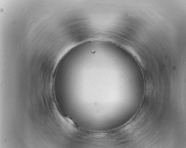 X0000089431484200707061331